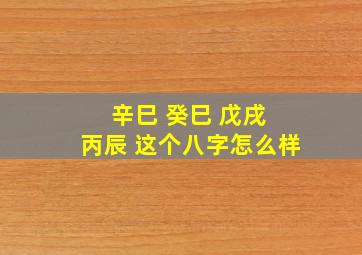 辛巳 癸巳 戊戌 丙辰 这个八字怎么样